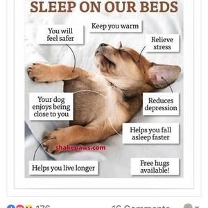 Meet your Posher, Lynn